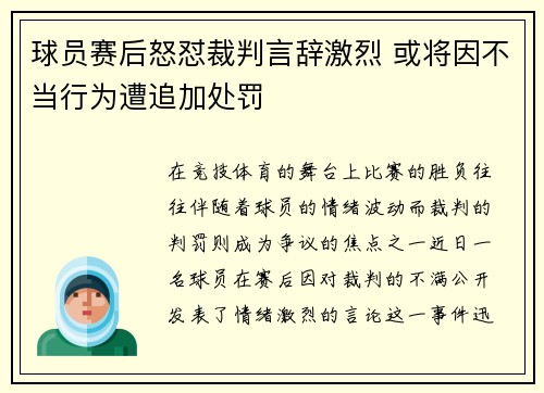 球员赛后怒怼裁判言辞激烈 或将因不当行为遭追加处罚